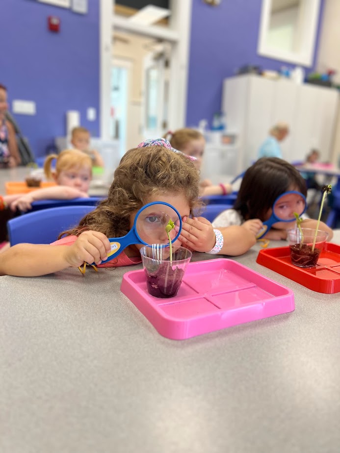 Preschool Science 1